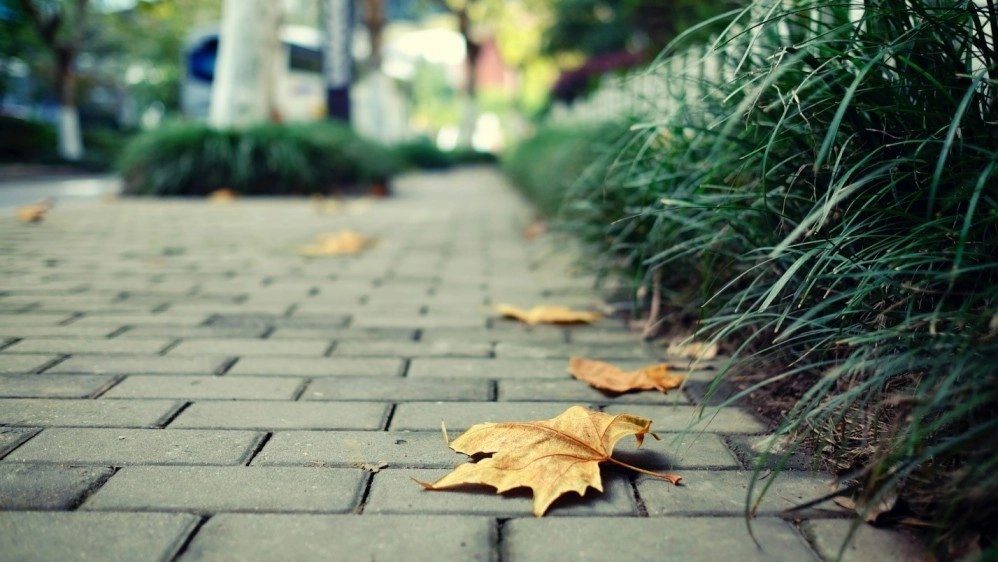 How the Right Outdoor Renovations (and Paving Supplies) Can Increase Property Value