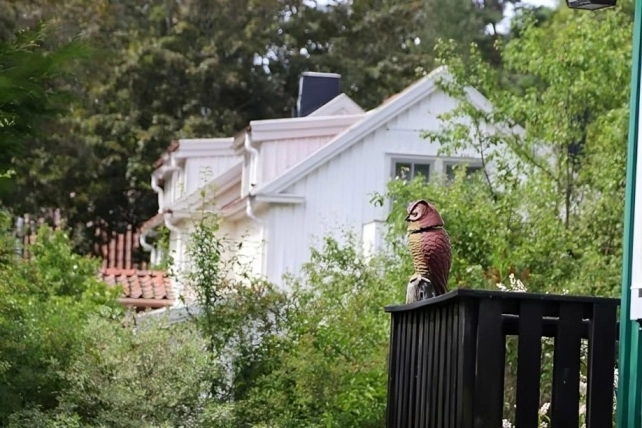 Just Bought a Home? Here's How to Set Up Your Outdoor Space for Entertaining
