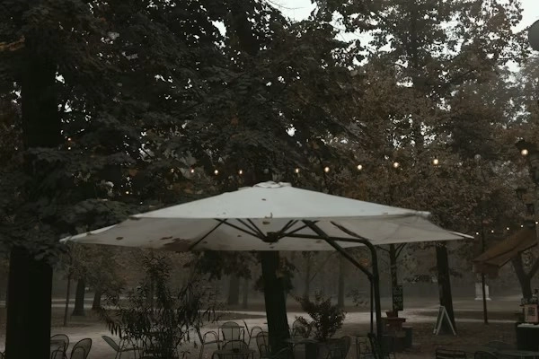 Just Bought a Home? Here's How to Set Up Your Outdoor Space for Entertaining
