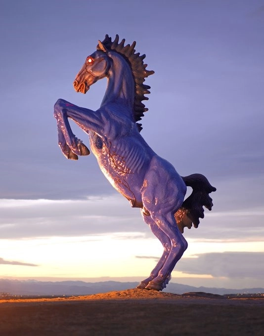Discover the Luxury Equestrian Estates and Horse Properties in Denver, CO | Kenna Real Estate -