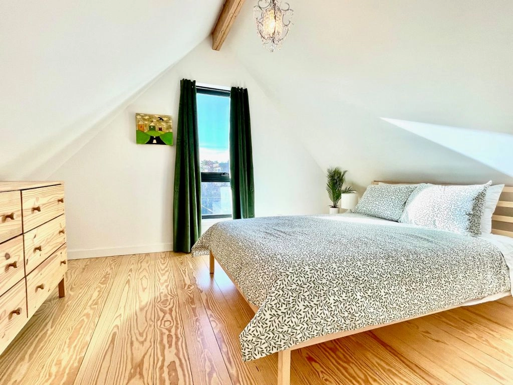 Net-Zero in the Mile High City: A Deep Dive into Passivhaus Design