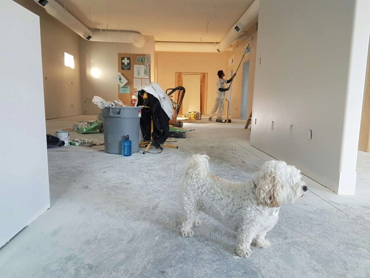 Renovate or Sell As-Is? A Comprehensive Guide to Weighing Your Options