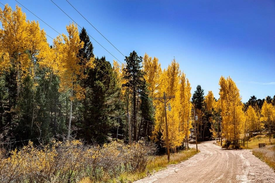 Seasonal Colorado Activities Every New Resident Should Try