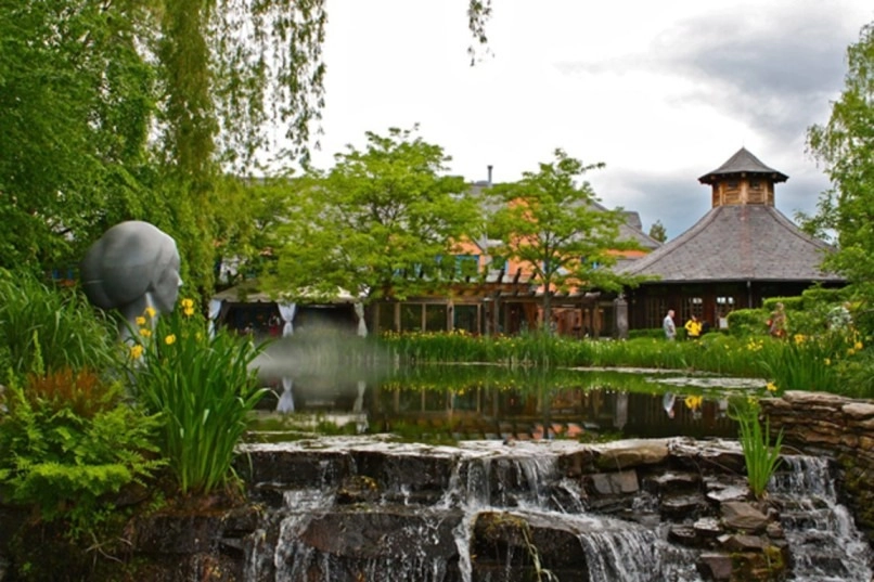 Simple Landscaping Projects That Maximize Real Estate ROI -