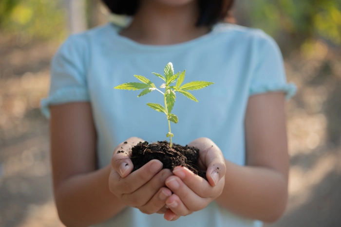 THE CANNABIS INDUSTRY AND COMMERCIAL REAL ESTATE -