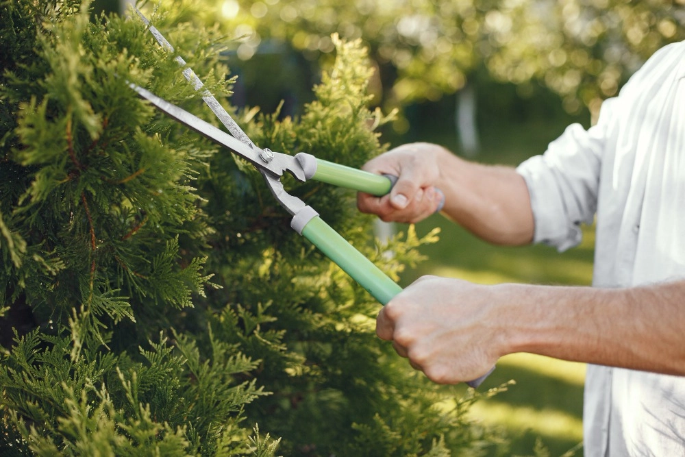The Close Relation Between Landscaping And Property Value -