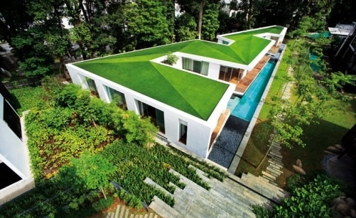The Pros and Cons of Artificial Turf Roofs: What You Need to Know