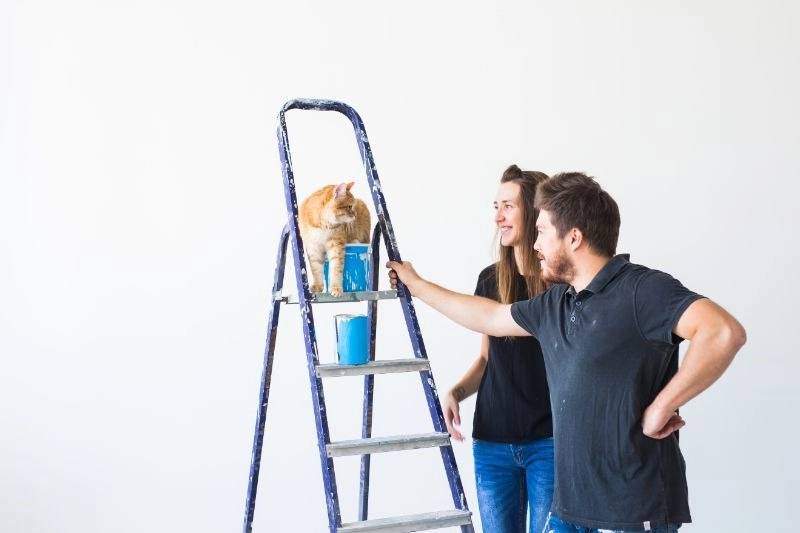 Essential Tips for New Homeowners in Colorado | Kenna Real Estate -