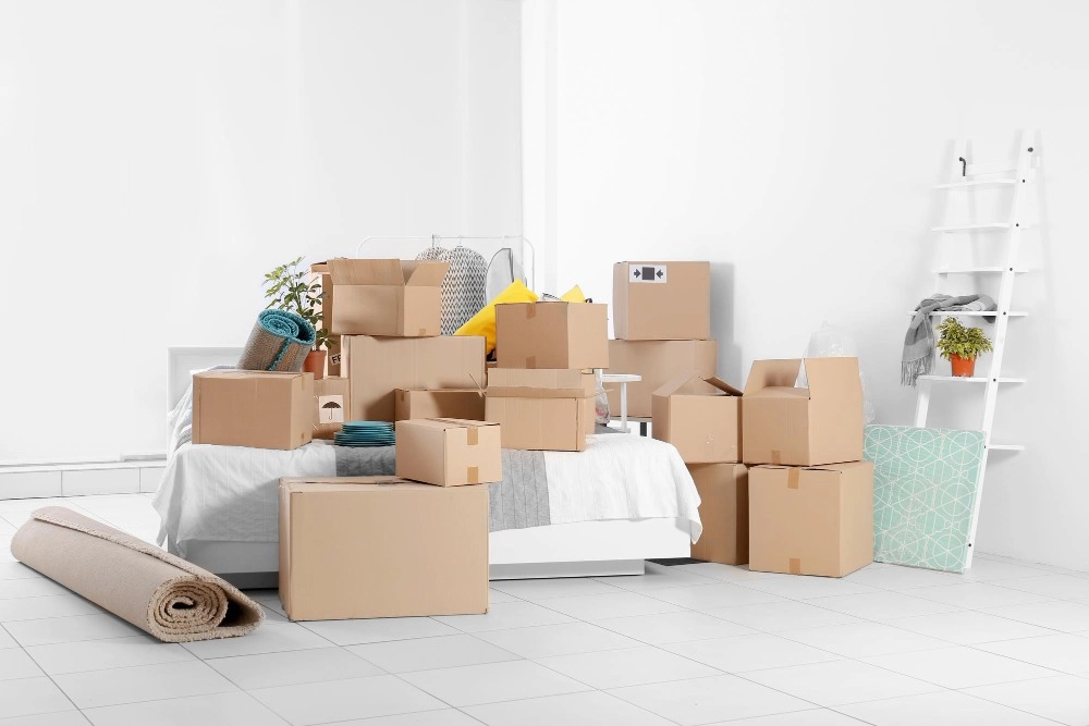 Tips for Moving to the South -