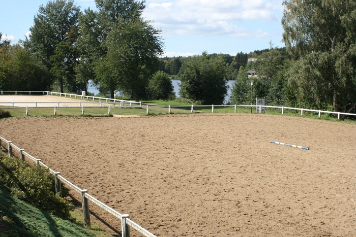 Equestrian Activities in Colorado