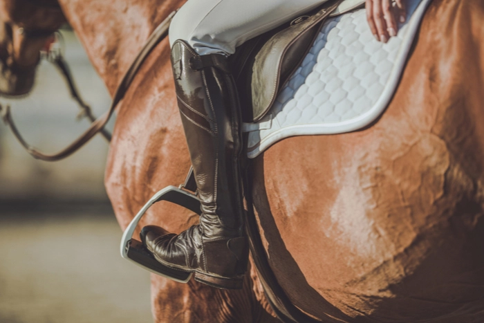 English Riding in Colorado