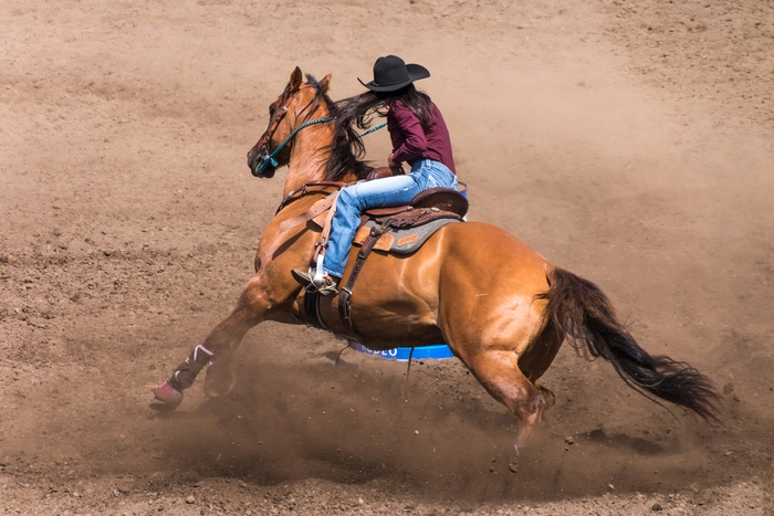 Western Riding is Popular in Colorado
