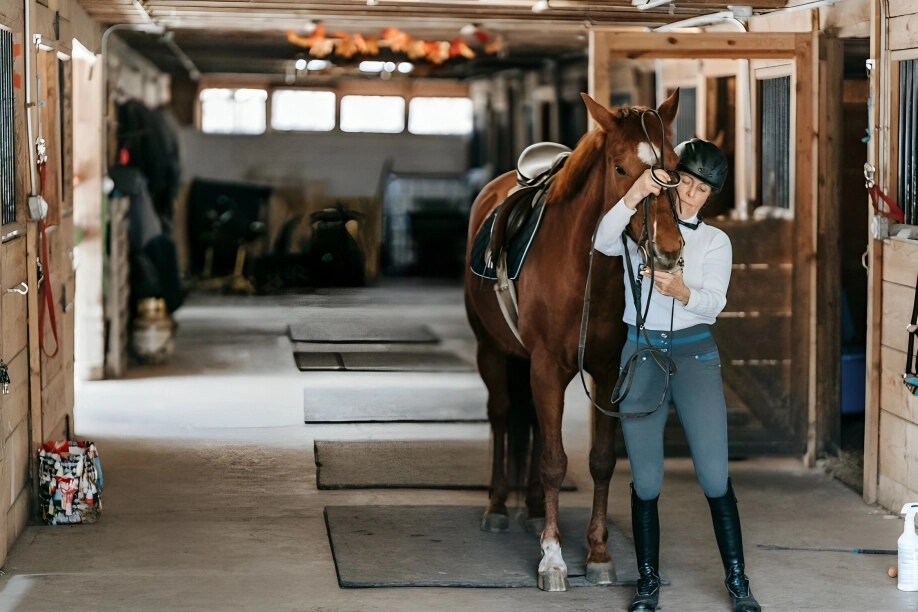 Value Increases For Your Equestrian Property