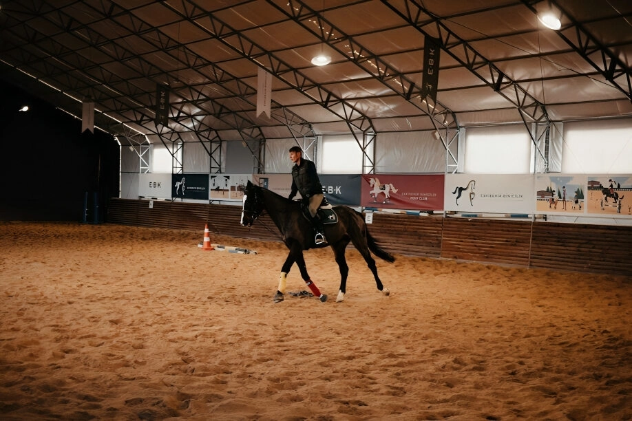 Value Increases For Your Equestrian Property