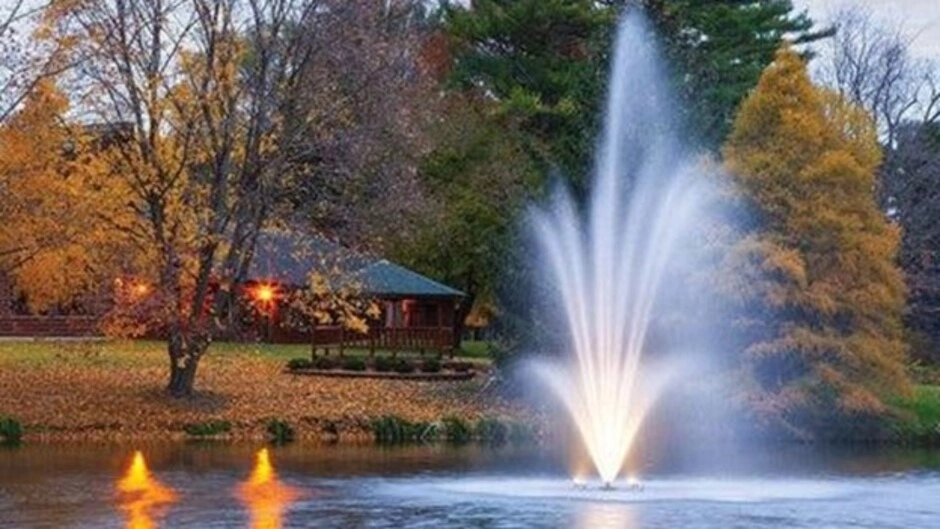 What Does a Pond Fountain Actually Cost? A Complete Guide for Homeowners