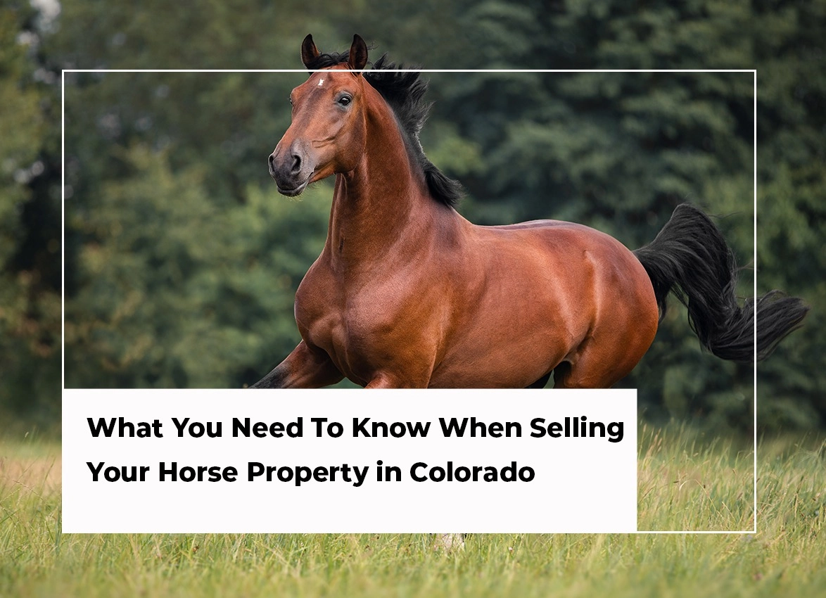 What You Need To Know When Selling Your Horse Property in Colorado -