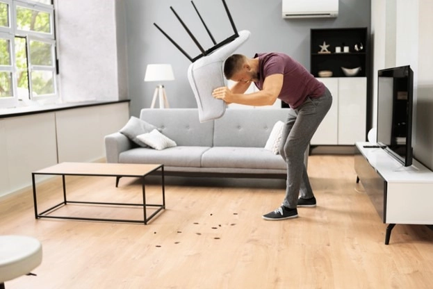 Why Are There Cockroaches in My Home After It Rains