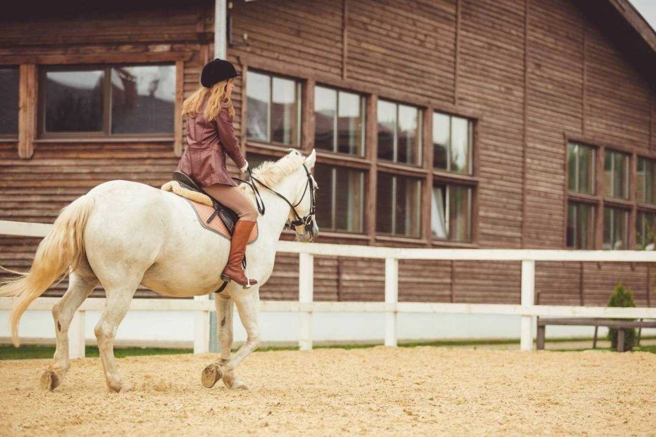 Why You Need a Heat Pump Installation for Your Luxury Equestrian Home in Colorado-