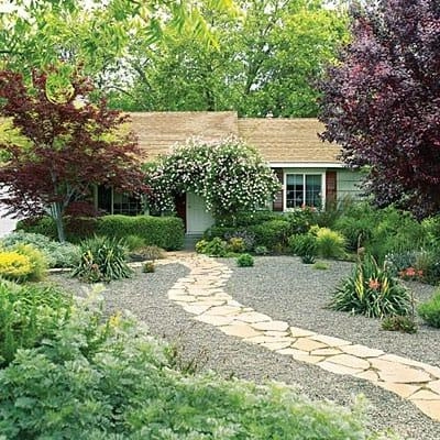 Xeriscaping Your Colorado Home: A Front Range Homeowner's Guide to Saving Water and Boosting Curb...