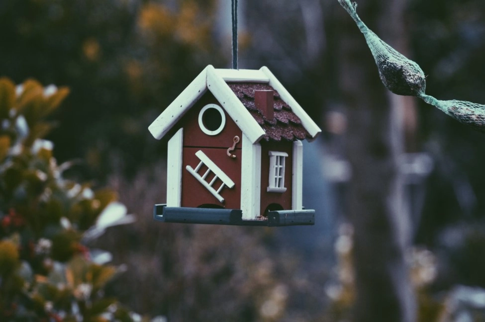 Yinon Filler: The Burnaby Realtor to Secure Your Future Home