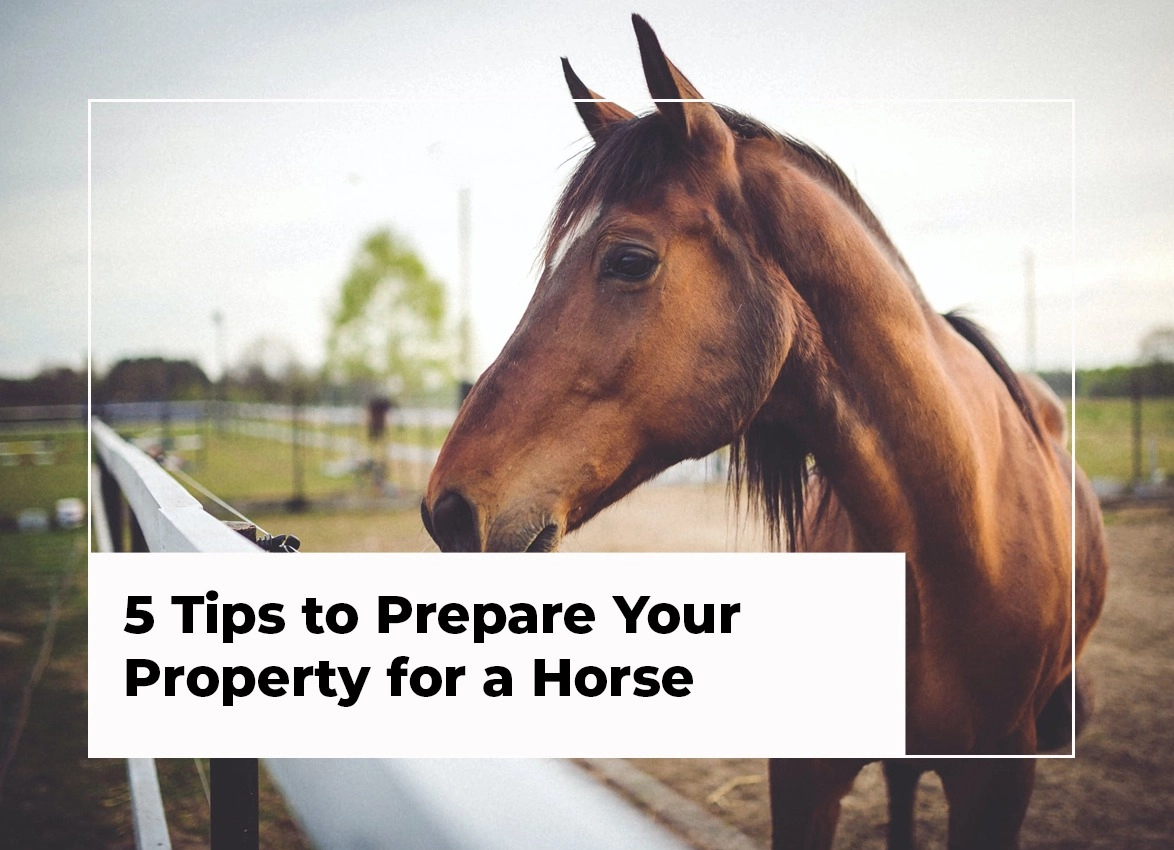 5 Tips to Prepare Your Property for a Horse -