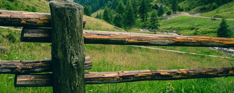 Types-of-Fences-for-Horse-Properties Types-of-Fences-for-Horse-Properties