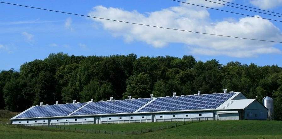 5 Ways Compact Sustainable Homes Are Making a Big Impact -