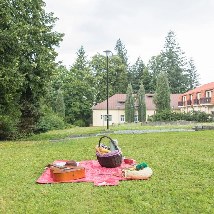 5 WAYS TO KEEP YOUR LAWN LOOKING BEAUTIFUL -