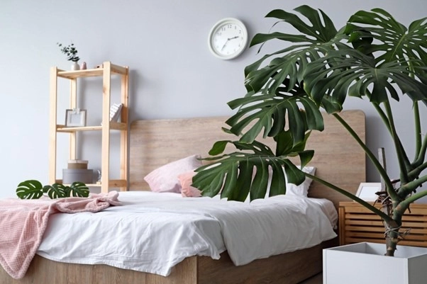 6 Must-Have Features in a One Bedroom House for Rent -