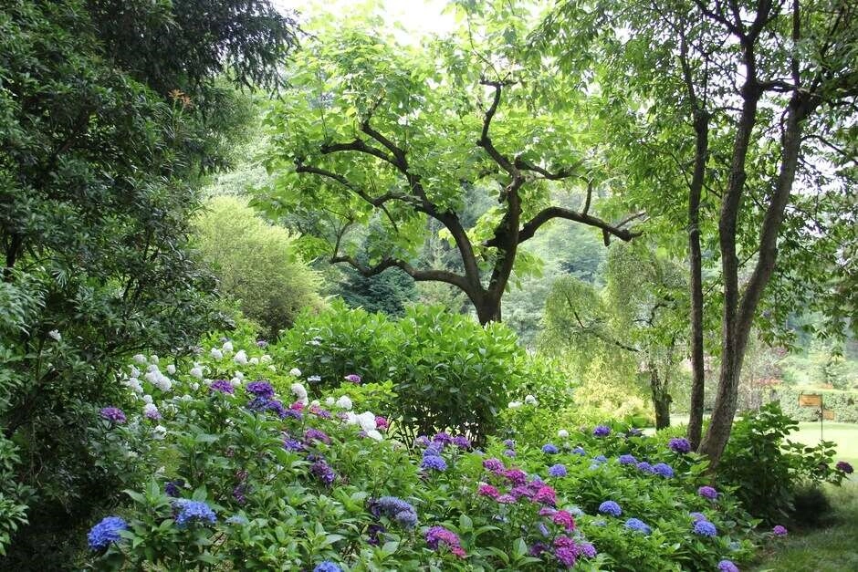 6 Smart Ways to Make Gardening Easier (& Still Have an Oasis)