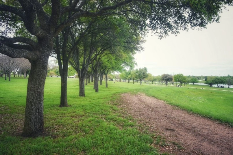 7 Benefits of Moving to Round Rock, Texas
