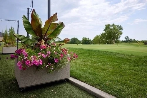 A Modern Approach to Greenifying Your Backyard