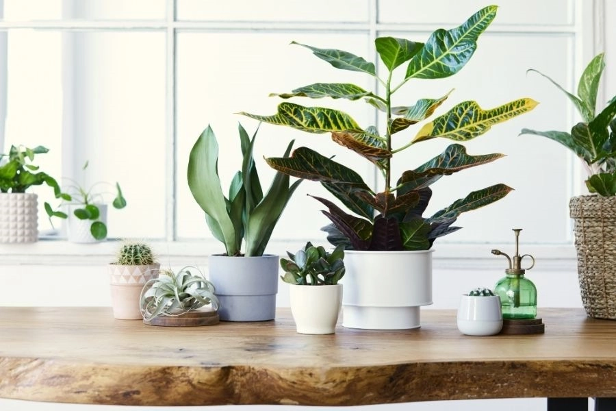 Affordable Ways To Change the Mood of Your Home -303-955-4220