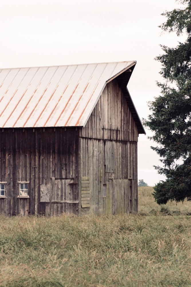 Here are some Do's and Don'ts of Building a Barn in Colorado to house your Horses on equestrian p...
