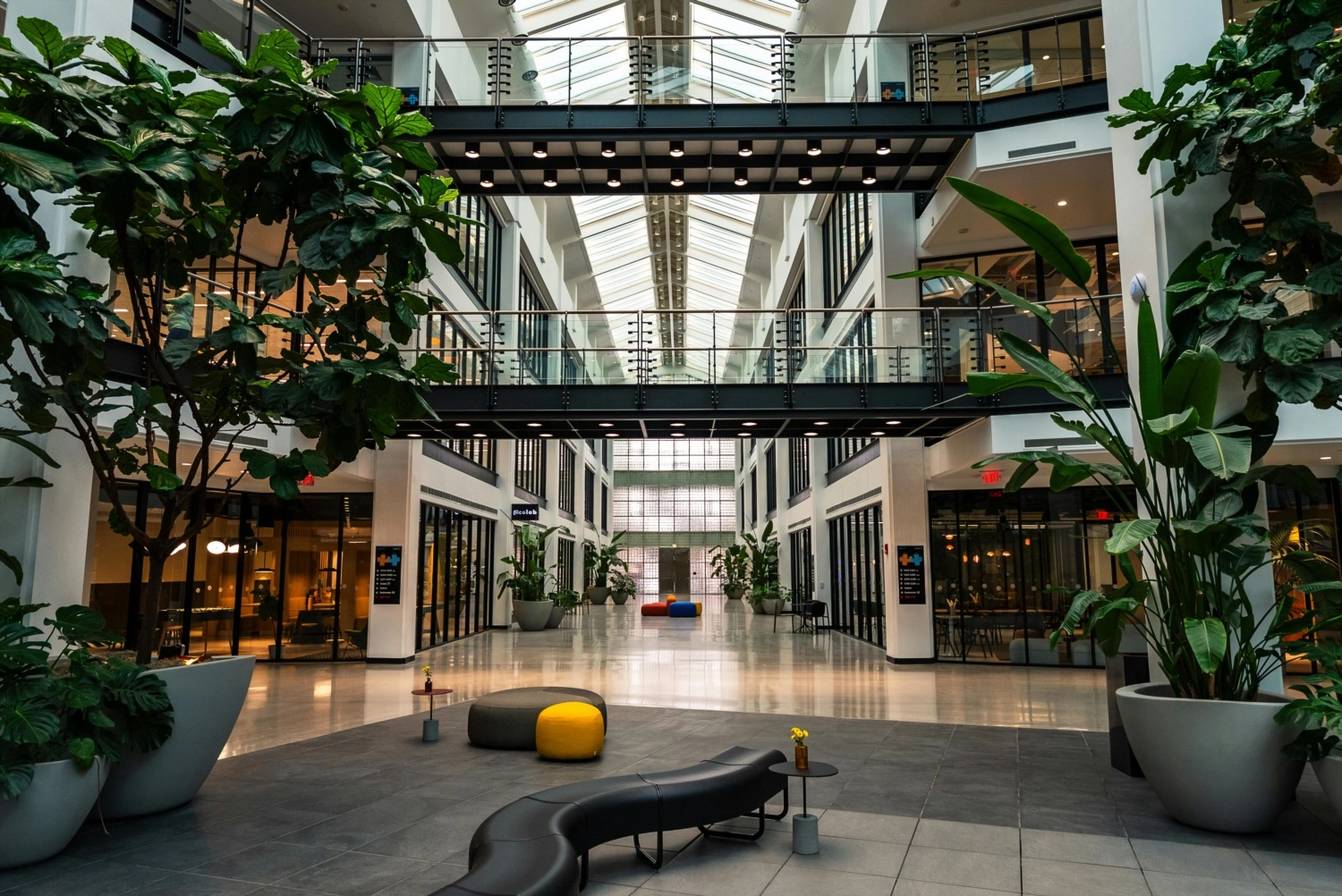 Biophilic Design Elements for Healthier Work Environments
