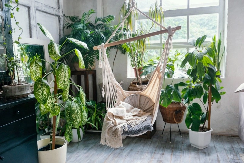 Biophilic Design Ideas to Bring Nature Closer to Your Everyday Living