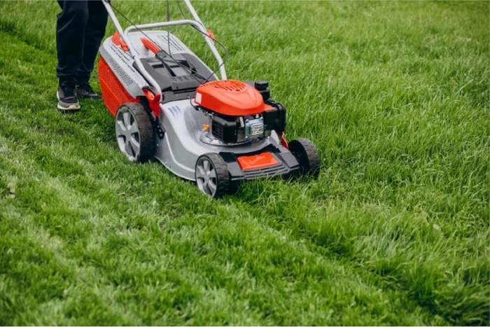 Effective Lawn Care and Maintenance Tips For Springtime in Colorado -