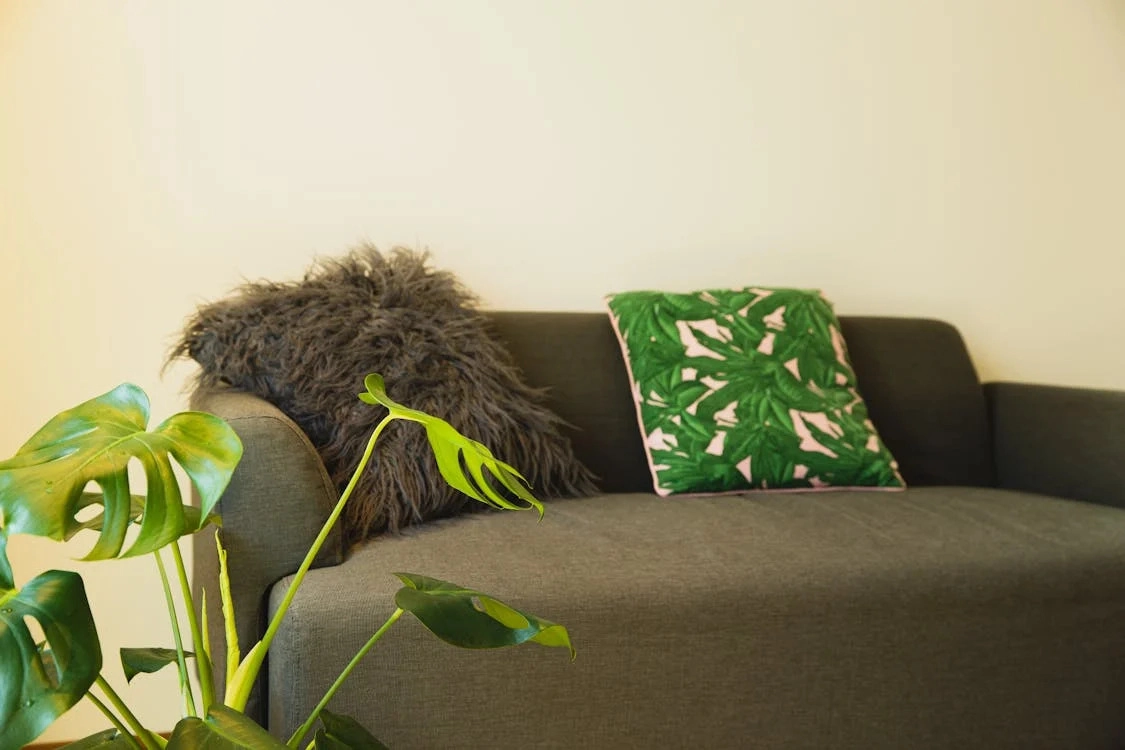 Elevate Your Space_ Enhance Your Decor with Modern Accent Pillows