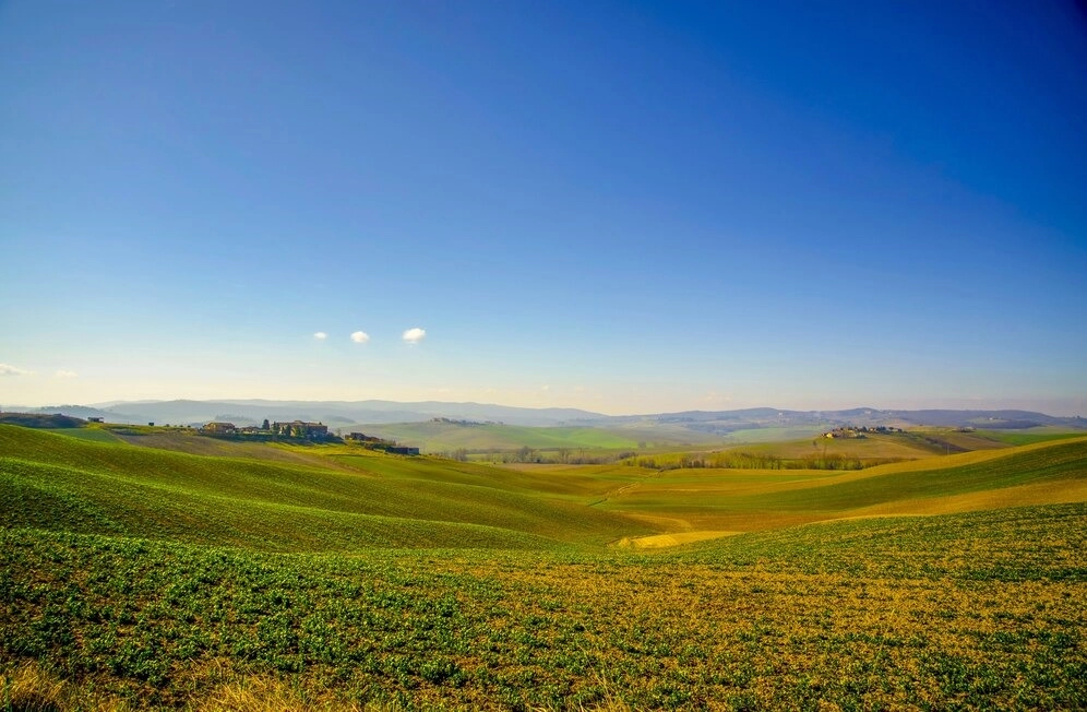 Essential Features to Look for When Buying Farmland