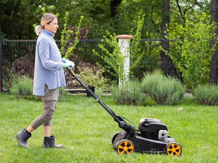 Essential Turf Cleaning Tips for Homeowners -
