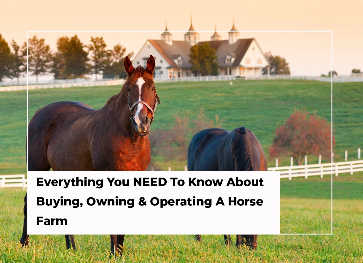 Everything You NEED To Know About Buying, Owning & Operating a Horse Farm -