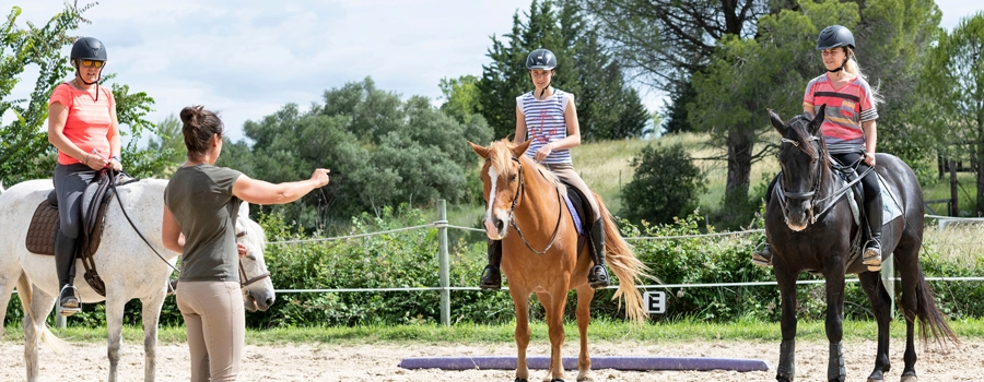 Everything You NEED To Know About Buying, Owning & Operating A Horse Farm - Riding Lessons Everything You NEED To Know About Buying, Owning & Operating A Horse Farm - Riding Lessons