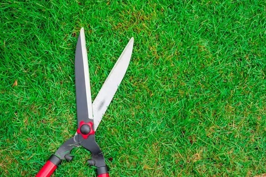 Grass Shears
