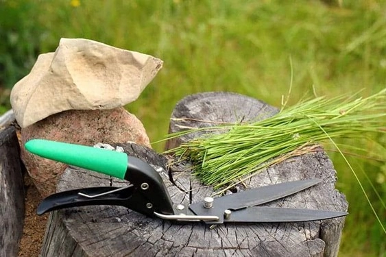 Grass Shears