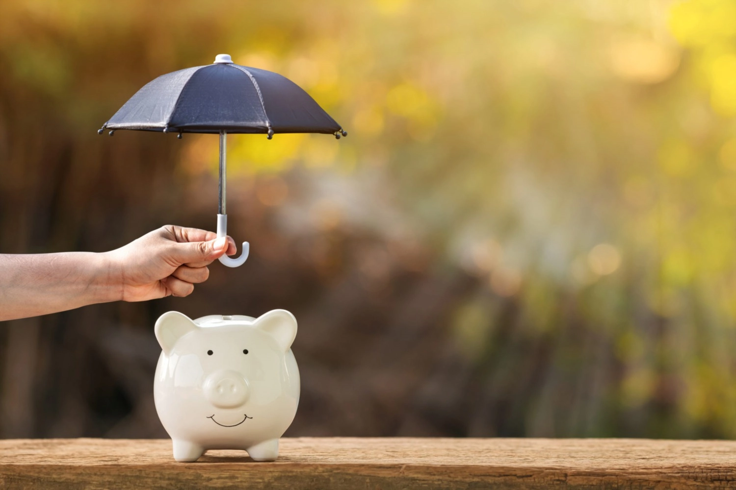 How Does an Asset Protection Trust Work and Why You Might Need One