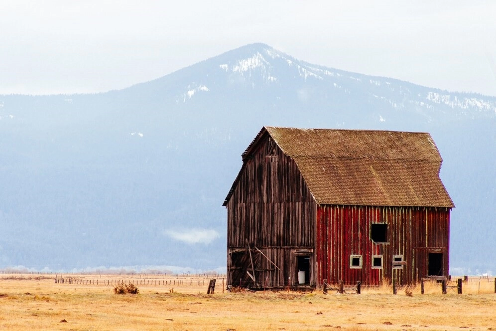 How Much Does Shed Removal Cost?