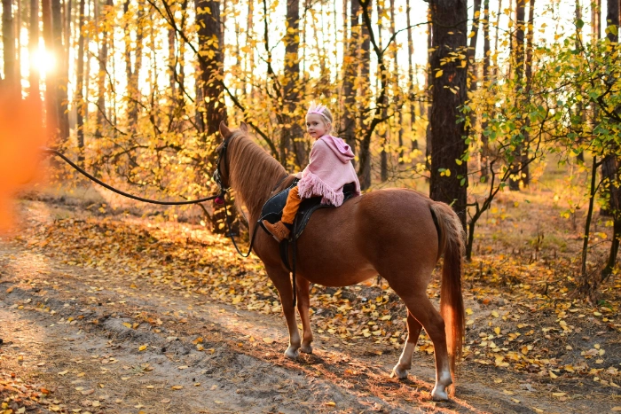 Horse Property