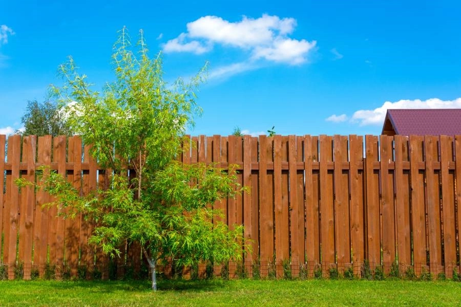 How To Maintain Your Fence & Extend Its Life