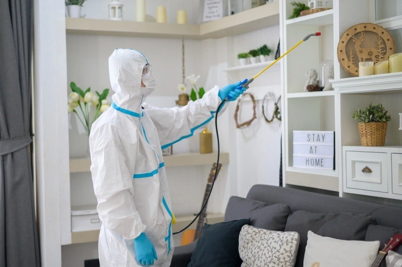 How to Prepare Your Home for Pest Control Services
