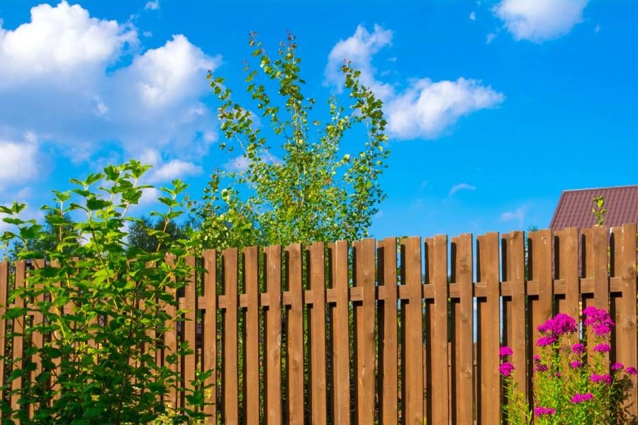 How To Stop Your Neighbor From Walking Into Your Yard